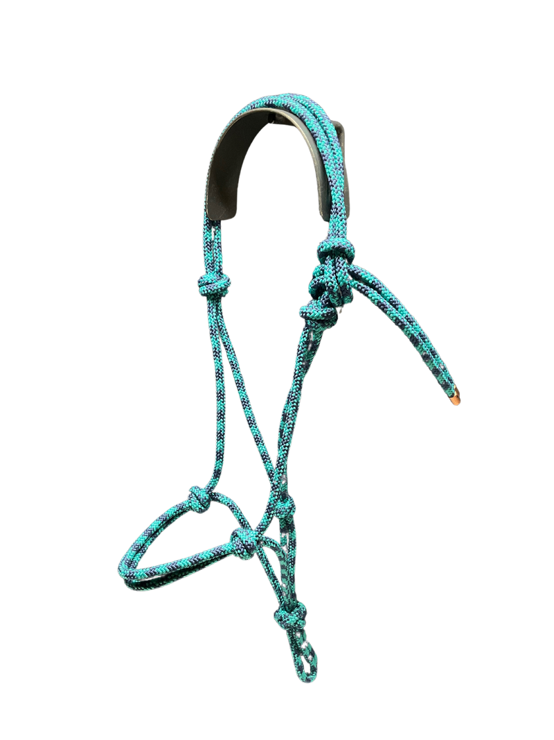 Tied Halter Yearling