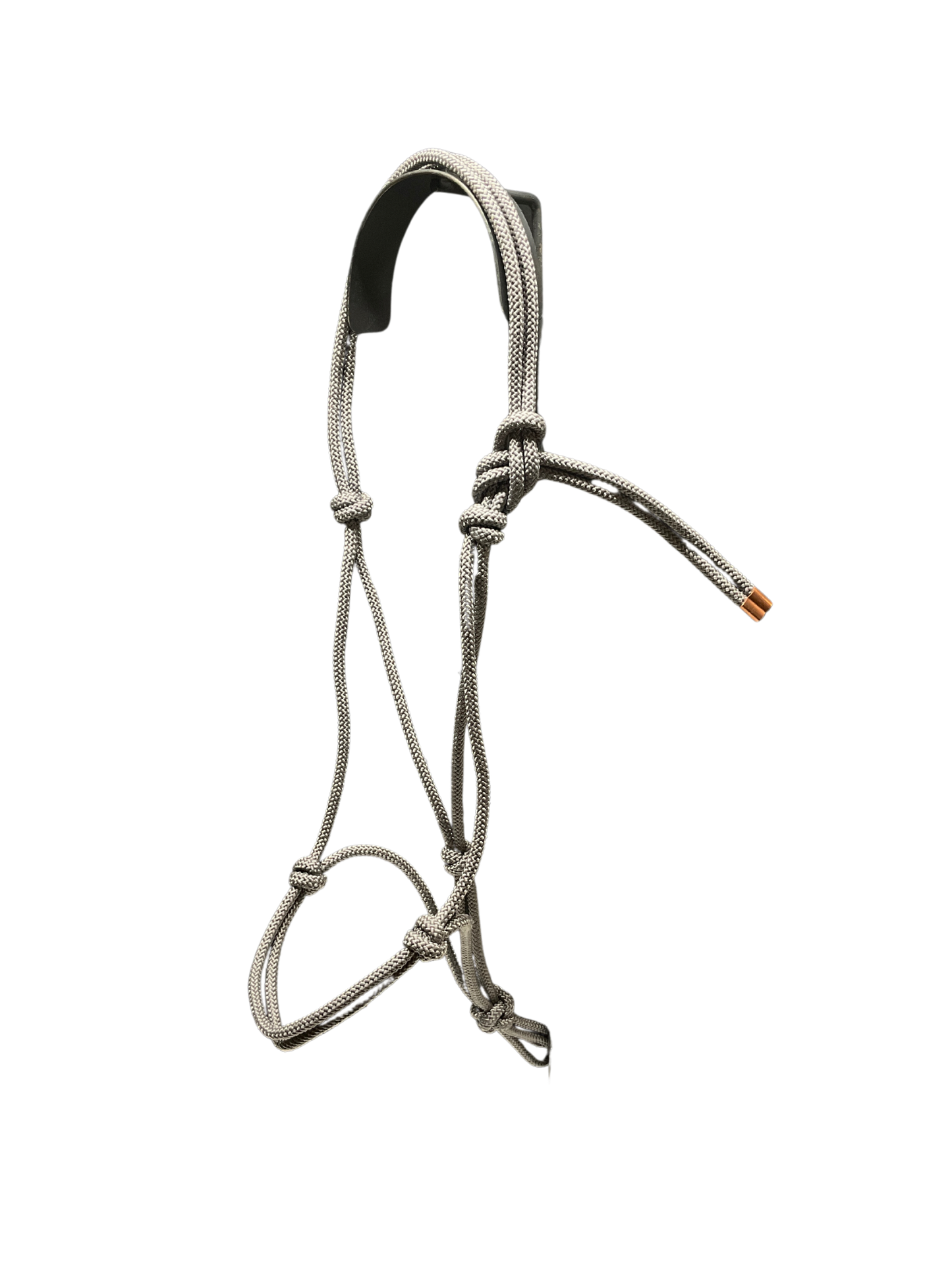 Tied Halter Weanling