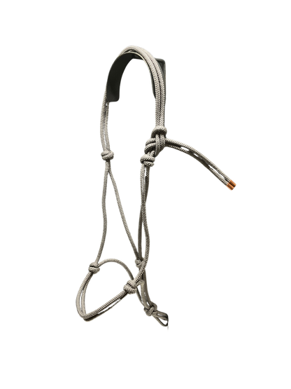 Tied Halter Weanling