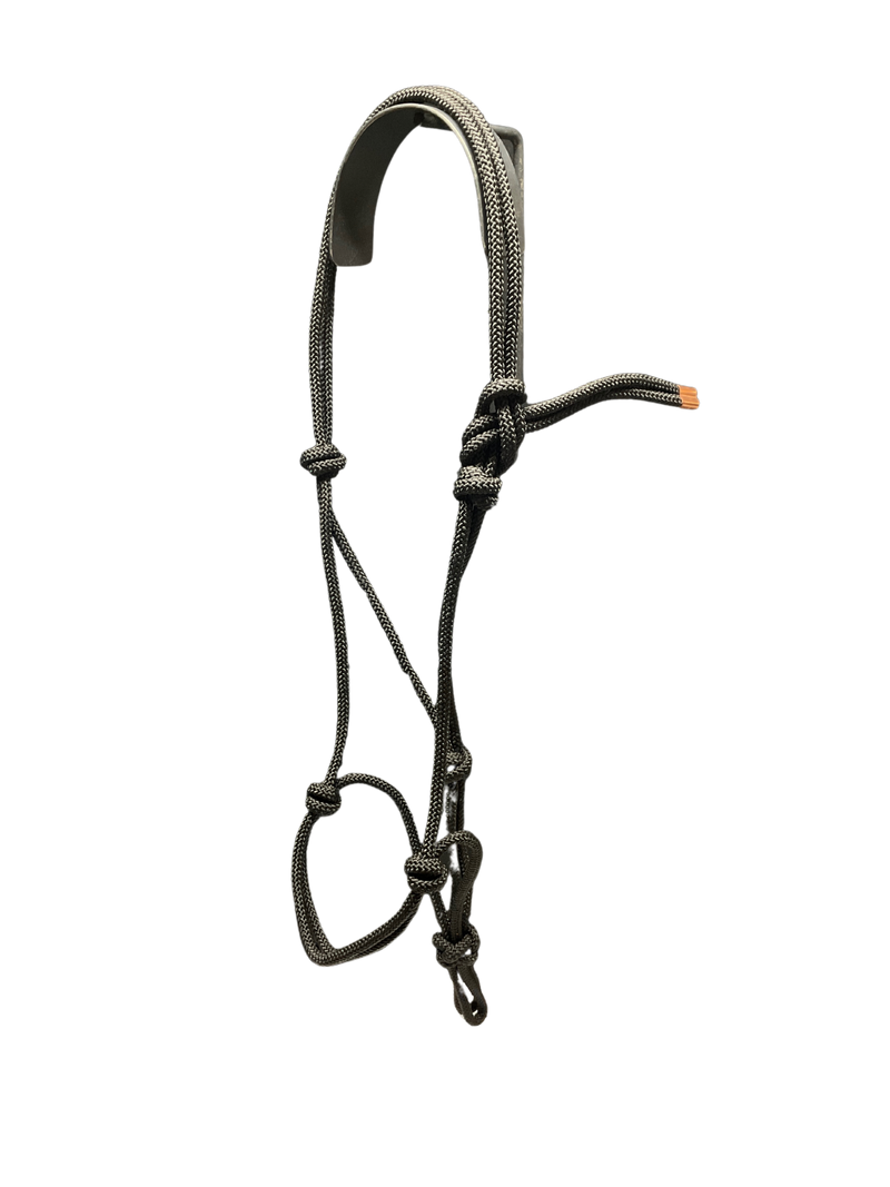 Tied Halter Yearling