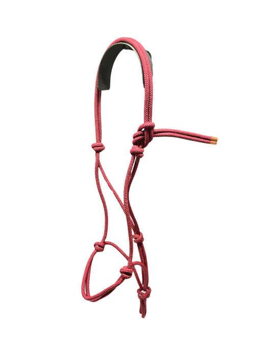 Tied Halter Yearling