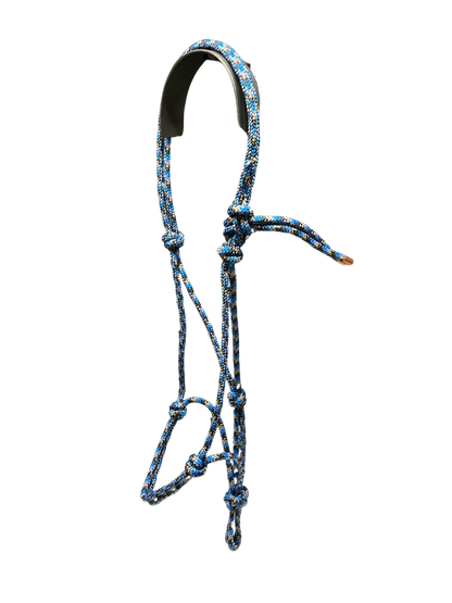 Tied Halter Weanling
