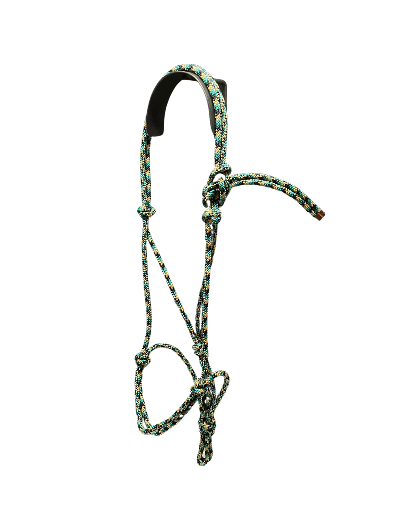 Tied Halter Yearling