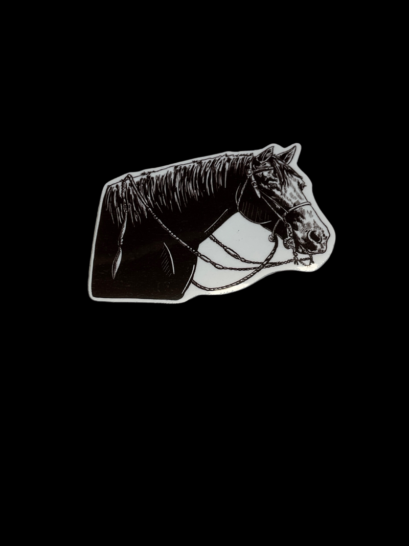 Bridle Horse
