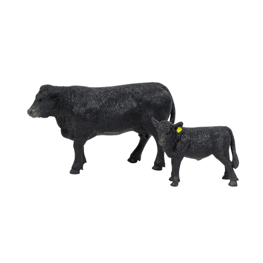 Angus Cow and Calf