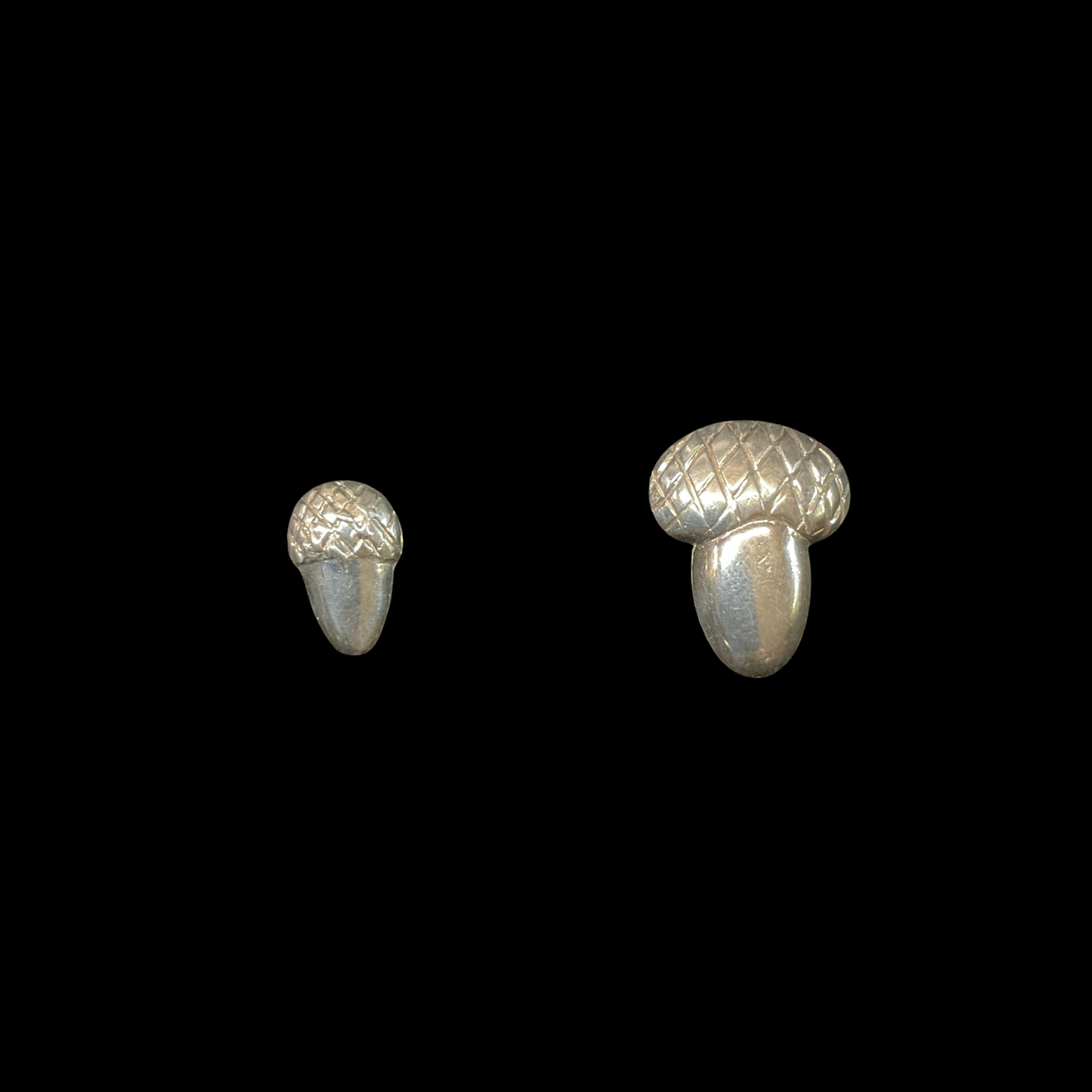 Acorn