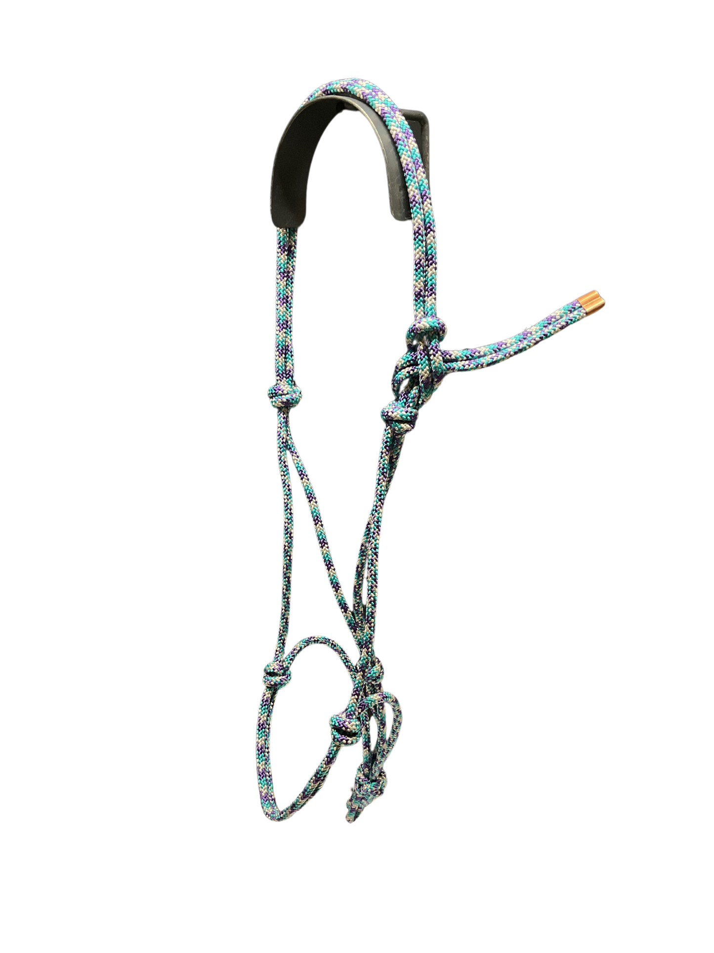 Tied Halter Weanling