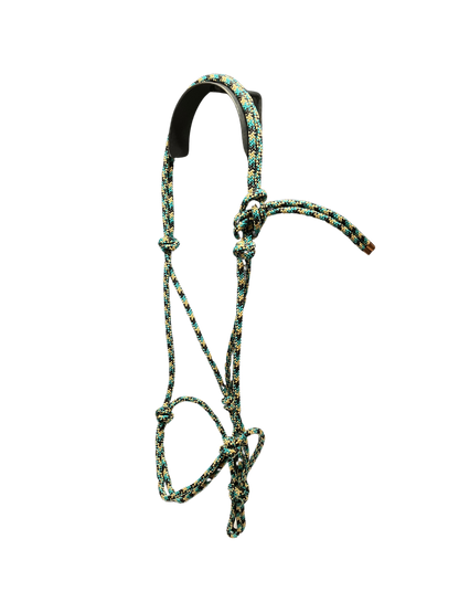 Tied Halter Weanling