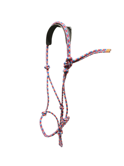 Tied Halter Weanling