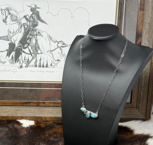 Sterling Silver/Prince Turquoise Necklace