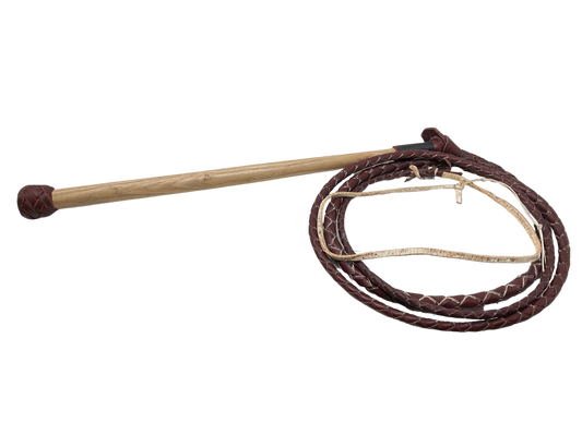 Braided Leather Whip