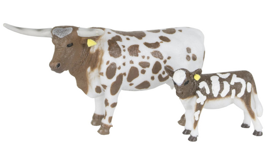 Longhorn Cow Calf Pair