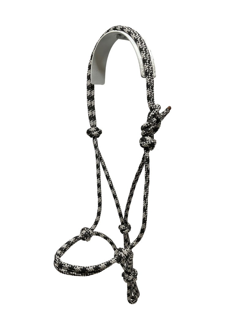Tied Halter Yearling