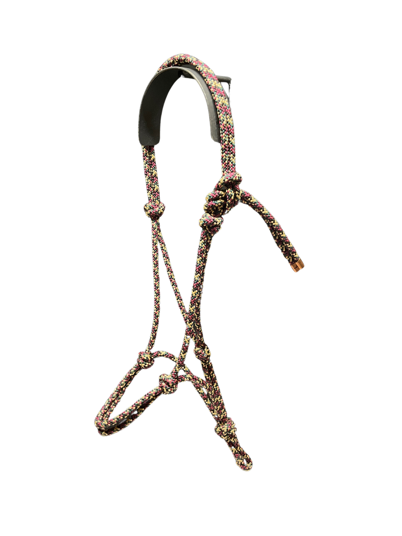 Tied Halter Yearling