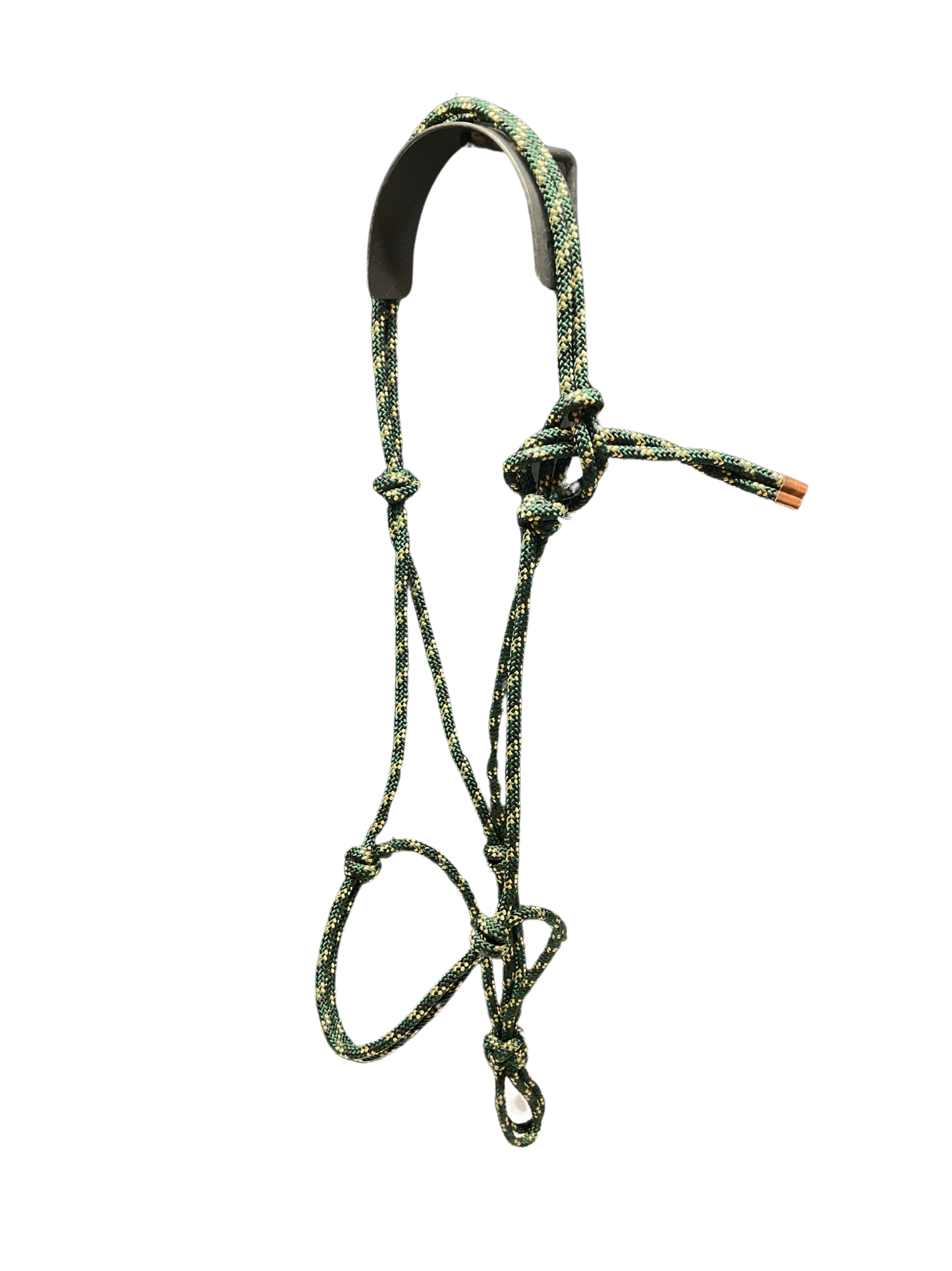 Tied Halter Weanling