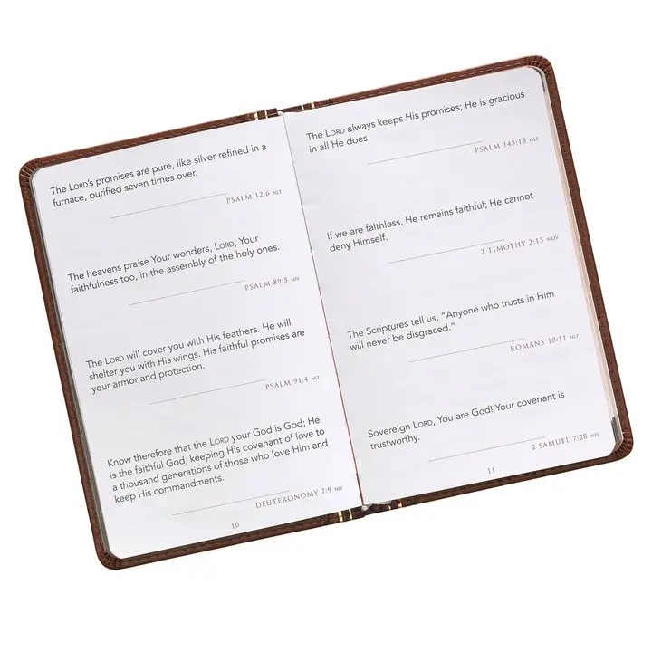 Promises From God For Every Man