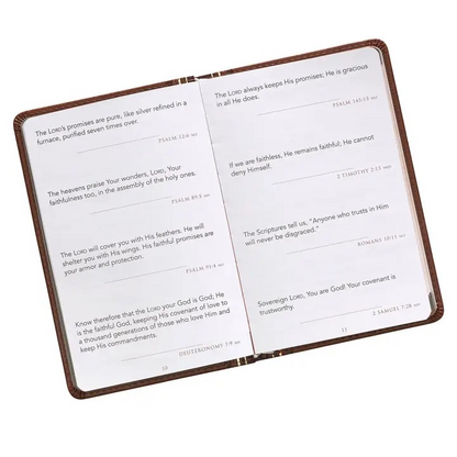 Promises From God For Every Man