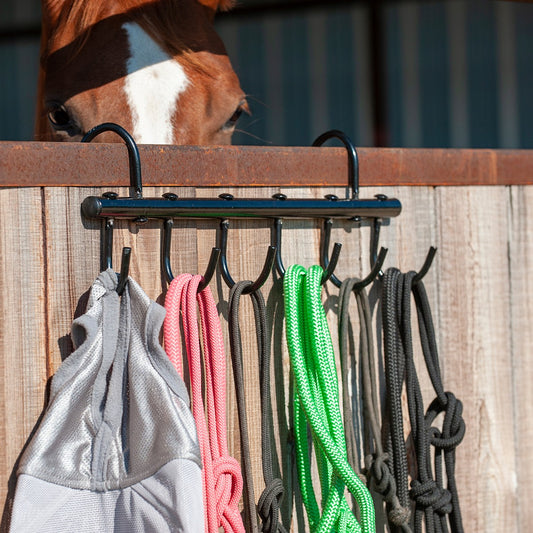 Arena Bridle Hanger