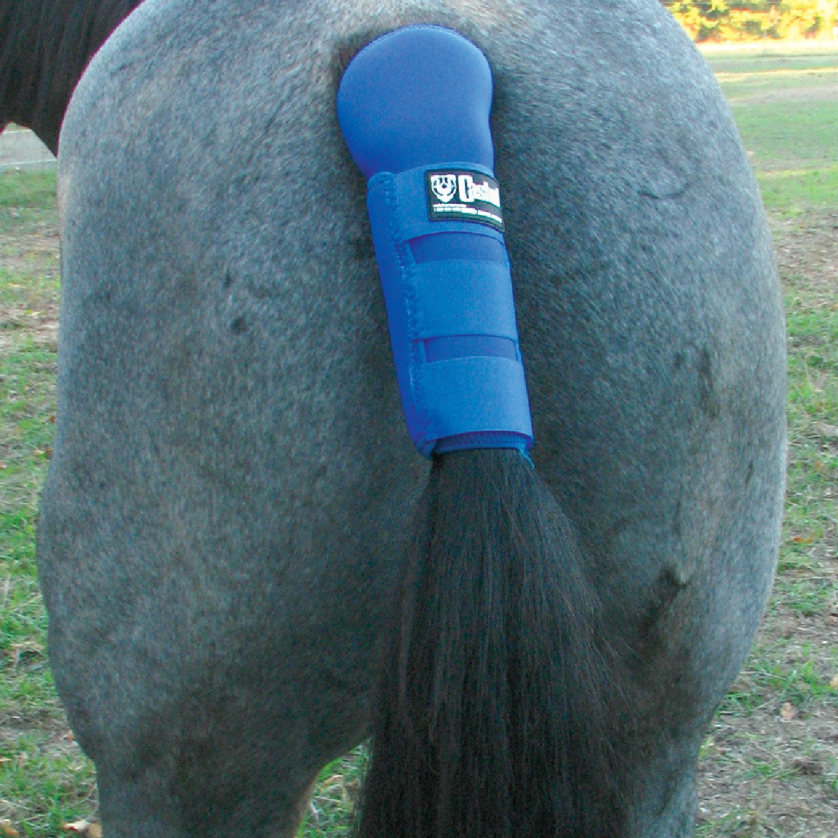 Tail Shield