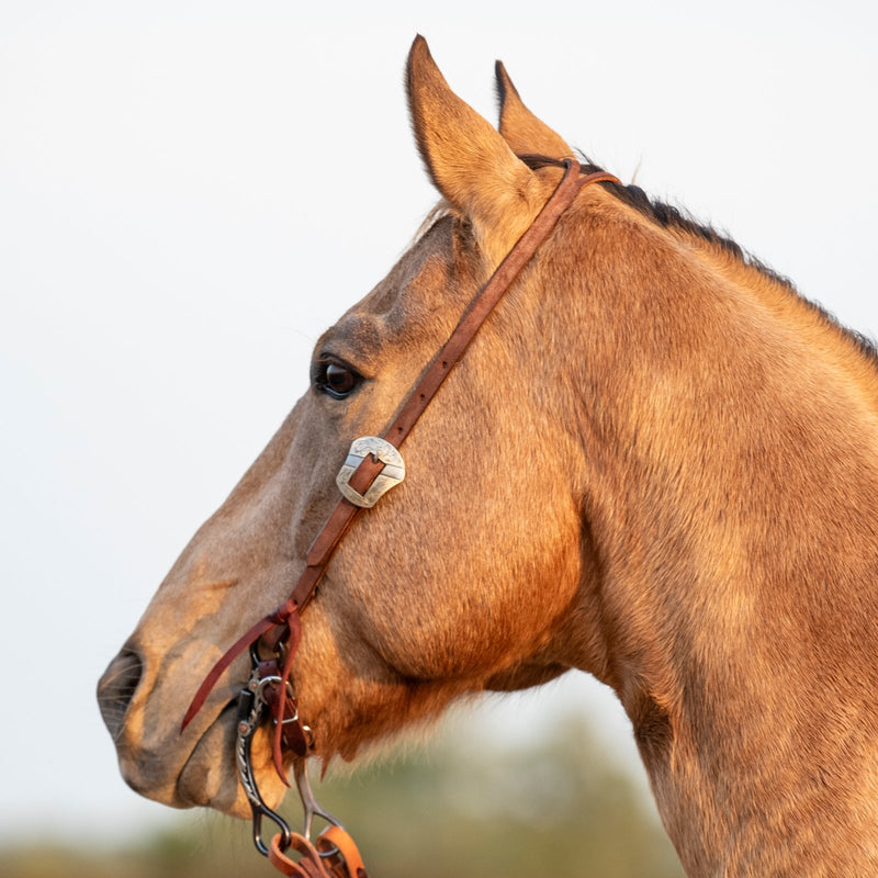 Split Ear Headstall with Salinas Buckle Latigo Ties