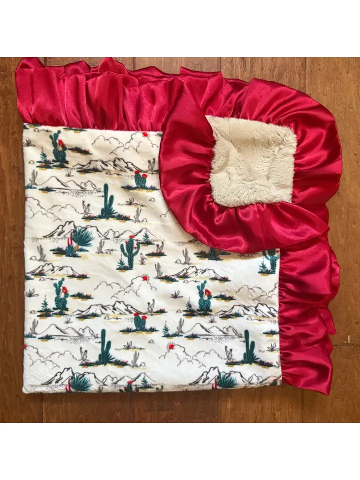 Minky Car Seat Blanket