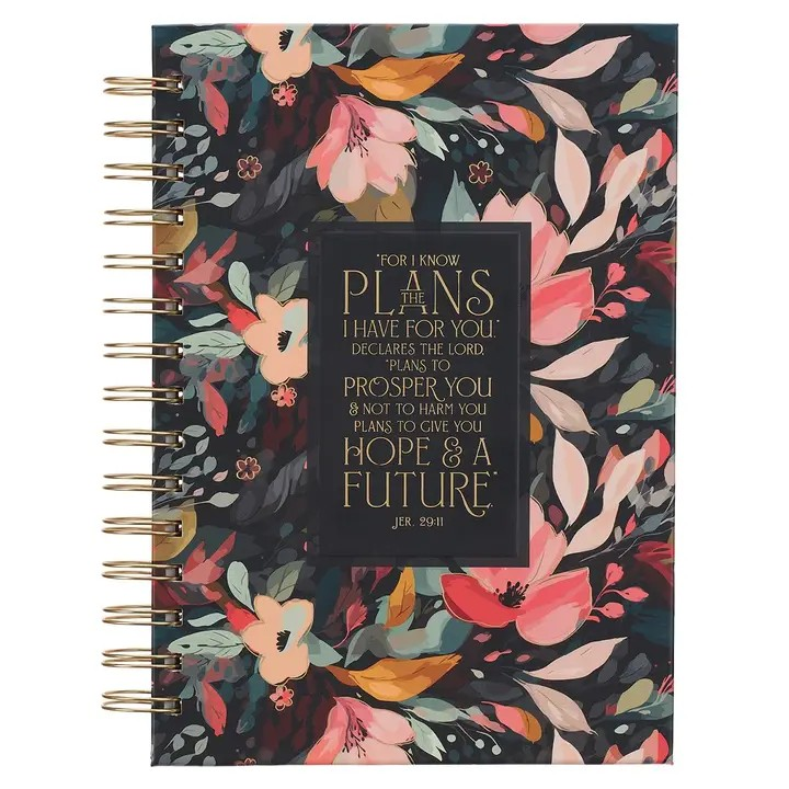 Journal - For I Know The Plans...